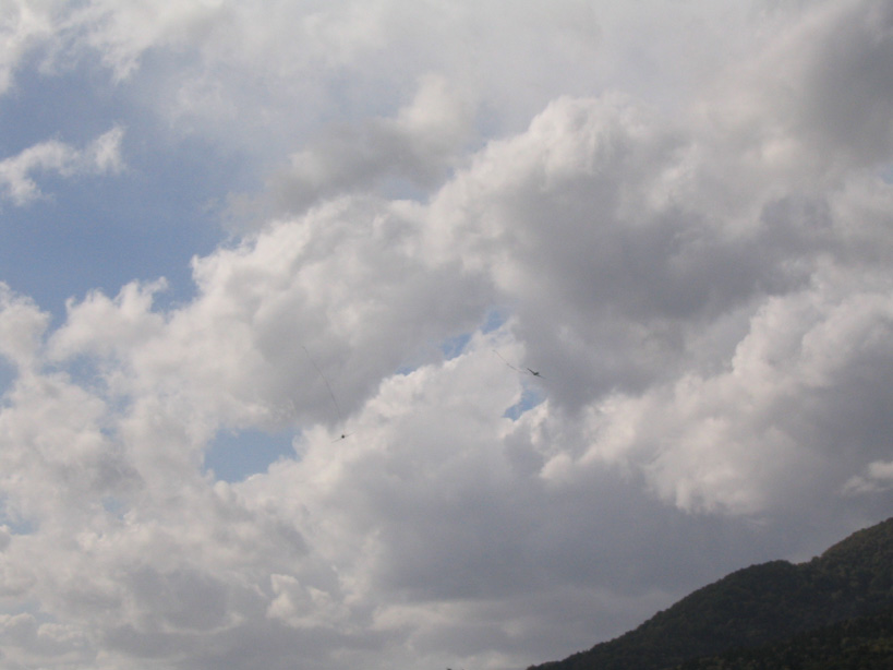 Combat tekma Vrhnika 111